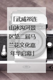 武威祁连山冰沟河景区第二届马兰花文化嘉年华启幕