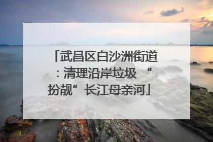 武昌区白沙洲街道：清理沿岸垃圾 “扮靓”长江母亲河