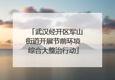 武汉经开区军山街道开展节前环境综合大整治行动