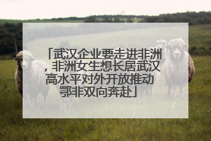 武汉企业要走进非洲，非洲女生想长居武汉 高水平对外开放推动鄂非双向奔赴