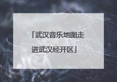 武汉音乐地图走进武汉经开区