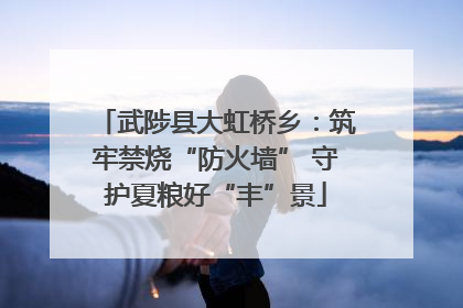 武陟县大虹桥乡：筑牢禁烧“防火墙” 守护夏粮好“丰”景