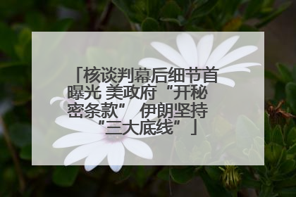 核谈判幕后细节首曝光 美政府“开秘密条款” 伊朗坚持“三大底线”