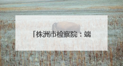 株洲市检察院：端午普法传温情 “银青结对”进社区