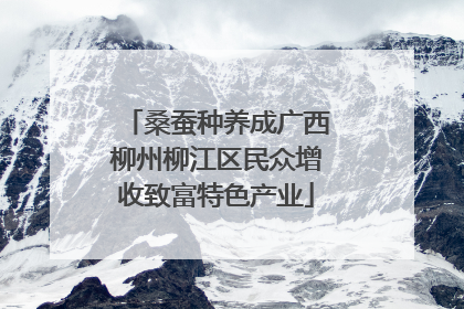 桑蚕种养成广西柳州柳江区民众增收致富特色产业