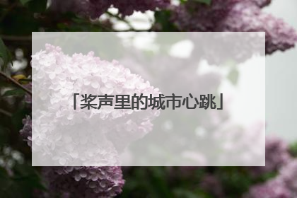 桨声里的城市心跳