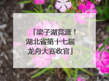 梁子湖竞渡！湖北省第十七届龙舟大赛收官