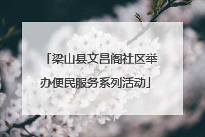 梁山县文昌阁社区举办便民服务系列活动