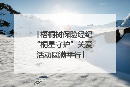 梧桐树保险经纪“桐星守护”关爱活动圆满举行