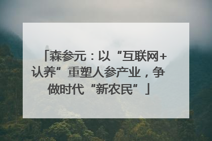 森参元：以“互联网+认养”重塑人参产业，争做时代“新农民”