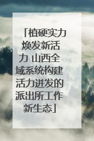 植硬实力 焕发新活力 山西全域系统构建活力迸发的派出所工作新生态