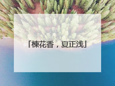 楝花香，夏正浅