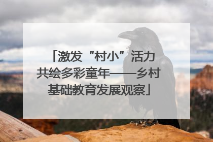 激发“村小”活力 共绘多彩童年——乡村基础教育发展观察