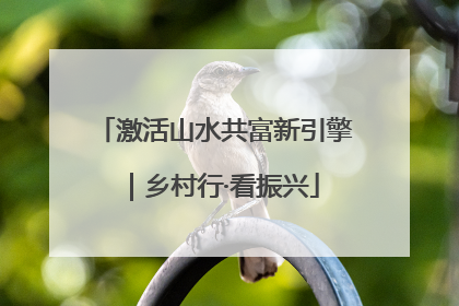 激活山水共富新引擎｜乡村行·看振兴