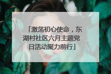 激荡初心使命，东湖村社区六月主题党日活动聚力前行