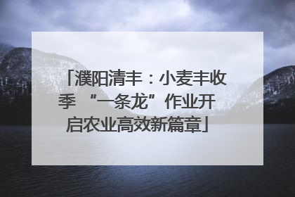 濮阳清丰：小麦丰收季 “一条龙”作业开启农业高效新篇章