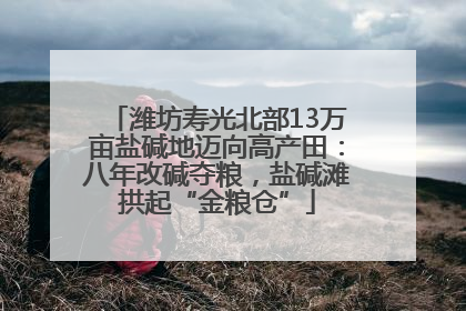 潍坊寿光北部13万亩盐碱地迈向高产田：八年改碱夺粮，盐碱滩拱起“金粮仓”