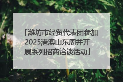 潍坊市经贸代表团参加2025港澳山东周并开展系列招商洽谈活动