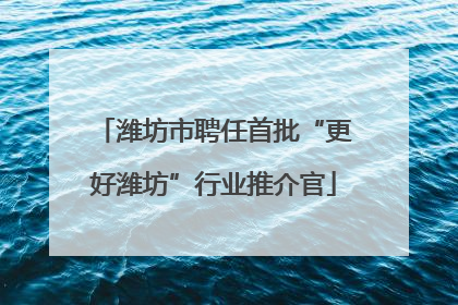 潍坊市聘任首批“更好潍坊”行业推介官