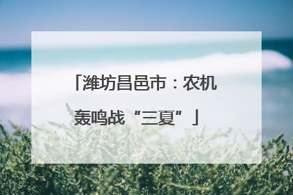 潍坊昌邑市：农机轰鸣战“三夏”