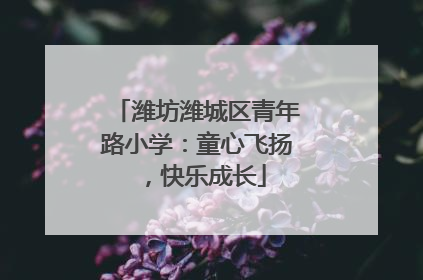 潍坊潍城区青年路小学：童心飞扬，快乐成长
