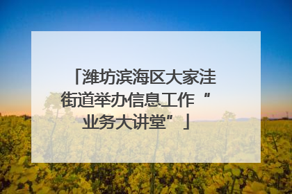 潍坊滨海区大家洼街道举办信息工作“业务大讲堂”