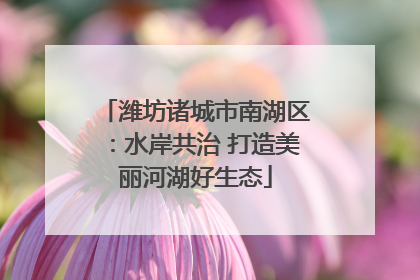 潍坊诸城市南湖区：水岸共治 打造美丽河湖好生态