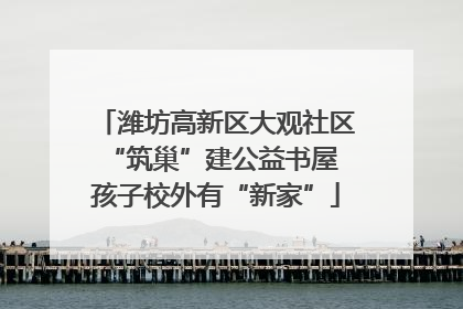 潍坊高新区大观社区“筑巢”建公益书屋 孩子校外有“新家”