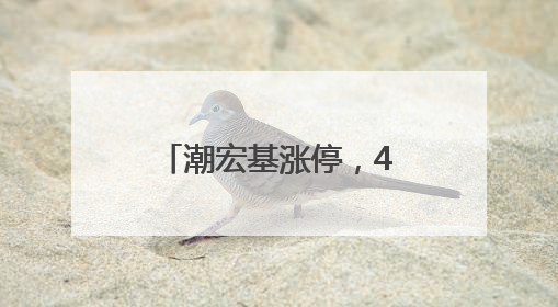 潮宏基涨停，4机构现身龙虎榜