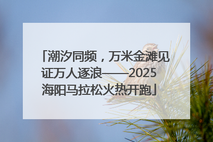 潮汐同频，万米金滩见证万人逐浪——2025海阳马拉松火热开跑