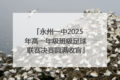 永州一中2025年高一年级班级足球联赛决赛圆满收官