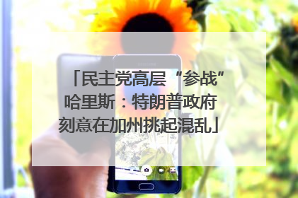 民主党高层“参战” 哈里斯：特朗普政府刻意在加州挑起混乱
