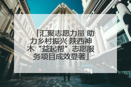 汇聚志愿力量 助力乡村振兴 陕西神木“益起帮”志愿服务项目成效显著