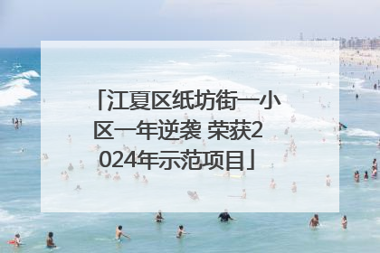 江夏区纸坊街一小区一年逆袭 荣获2024年示范项目
