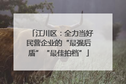 江川区：全力当好民营企业的“最强后盾”“最佳拍档”