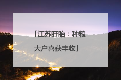 江苏盱眙：种粮大户喜获丰收