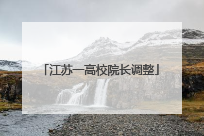 江苏一高校院长调整