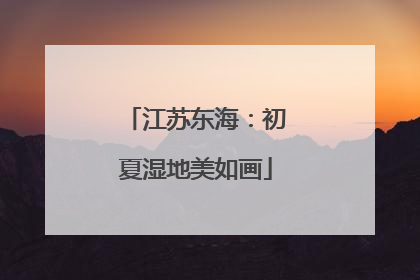 江苏东海：初夏湿地美如画