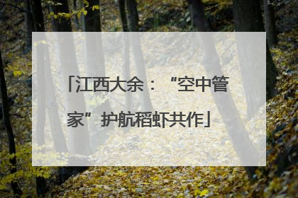 江西大余：“空中管家”护航稻虾共作