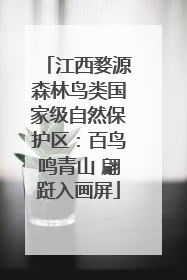 江西婺源森林鸟类国家级自然保护区：百鸟鸣青山 翩跹入画屏