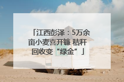 江西彭泽：5万余亩小麦喜开镰 秸秆回收变“绿金”
