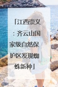 江西崇义：齐云山国家级自然保护区发现蜘蛛新种