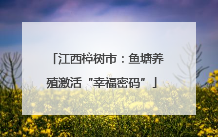 江西樟树市：鱼塘养殖激活“幸福密码”