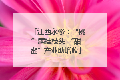 江西永修：“桃”满挂枝头 “甜蜜”产业助增收