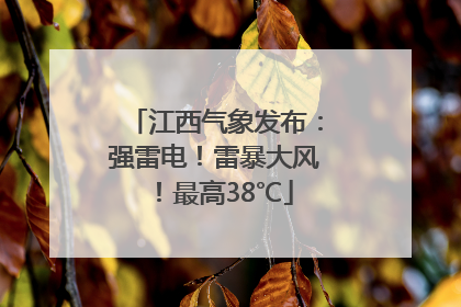 江西气象发布：强雷电！雷暴大风！最高38℃