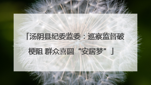 汤阴县纪委监委：巡察监督破梗阻 群众喜圆“安居梦”