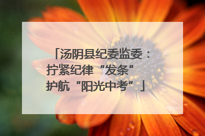 汤阴县纪委监委：拧紧纪律“发条” 护航“阳光中考”