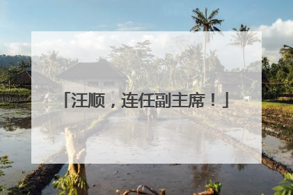 汪顺，连任副主席！