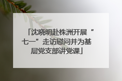 沈晓明赴株洲开展“七一”走访慰问并为基层党支部讲党课