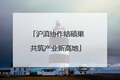 沪滇协作结硕果 共筑产业新高地